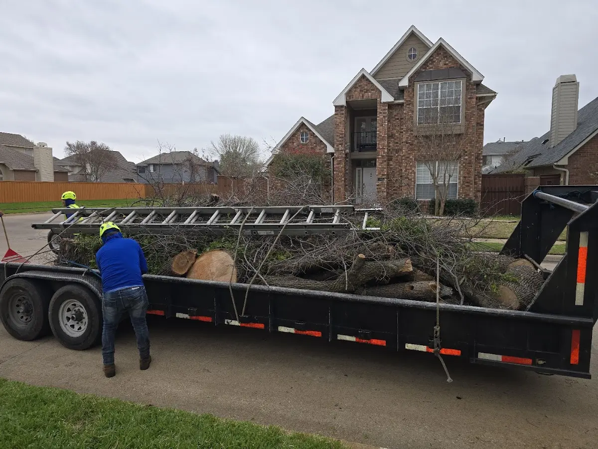 Expert Lot Clearing with proper safety equipment in High Point
